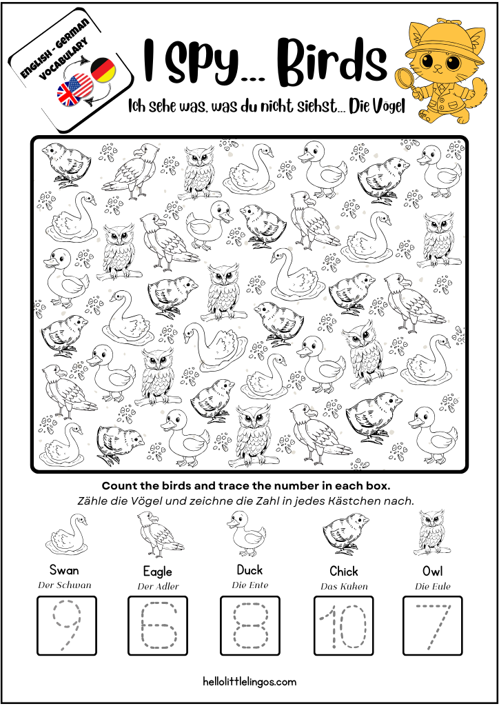 free printable I spy birds in english