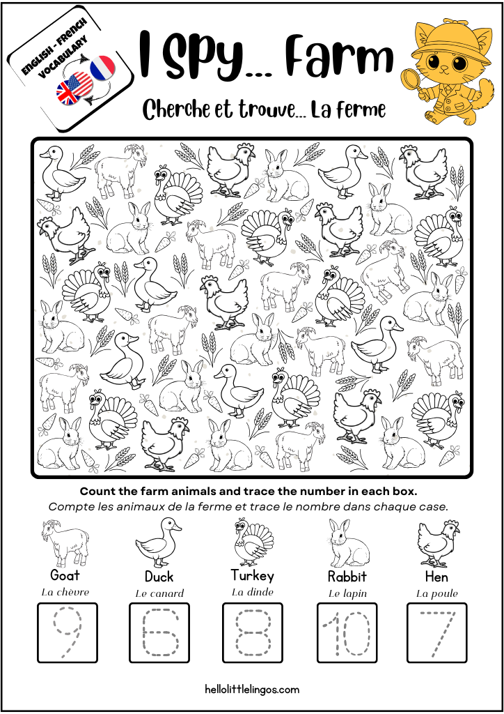 I spy birds animals worksheets