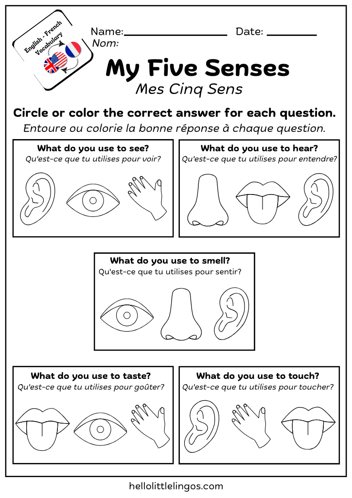 my five senses worksheets for kids
