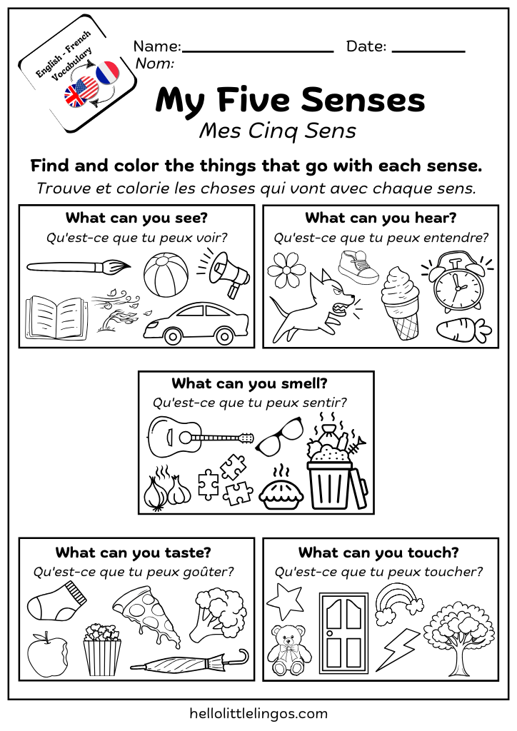 free pdf science worksheets printable five senses