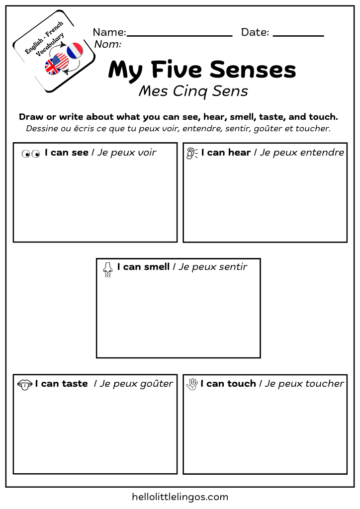 english french printable worksheets five senses