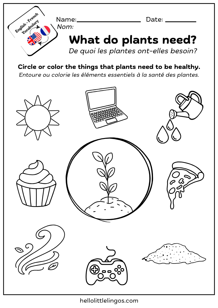 free science printable for worksheets for kindergarten