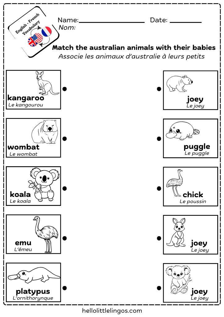 australian animals worksheets for kids
