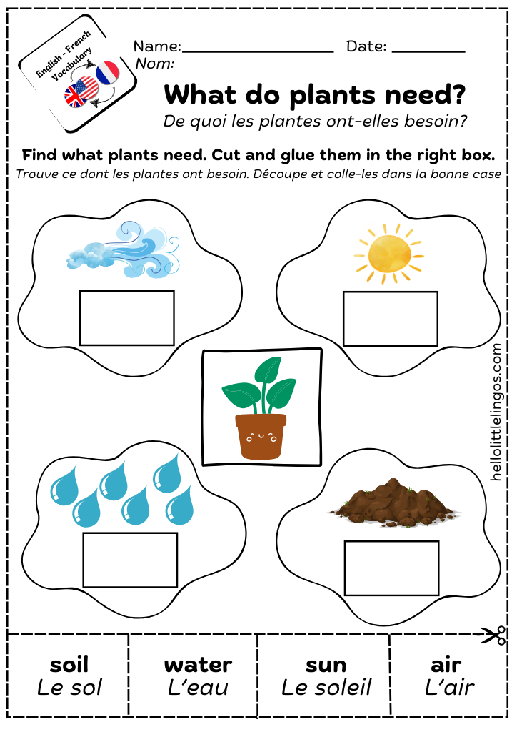 what do plants need worksheet for kids
