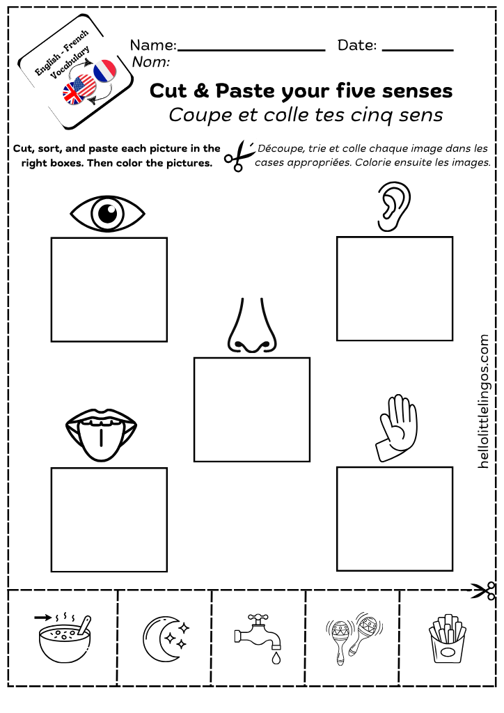 Printable science worksheets for kindergarten in french and english