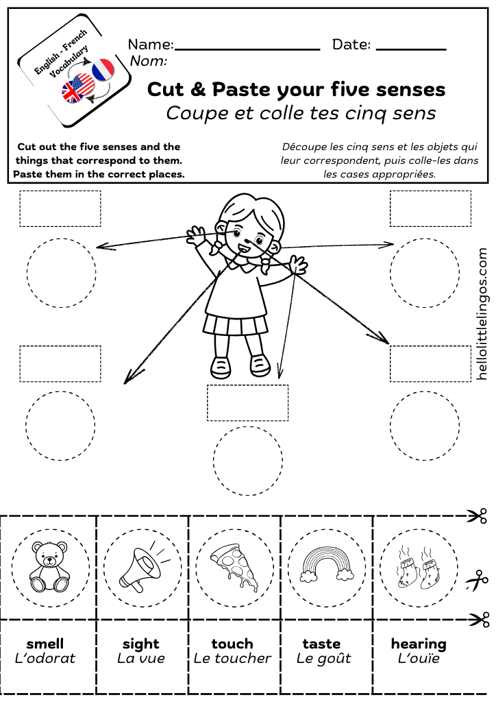 cut and paste activity five senses