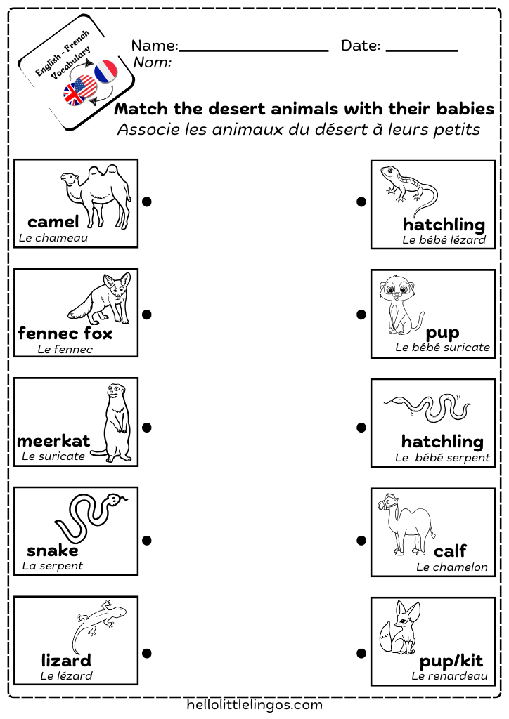 matching animals with their babies free printable