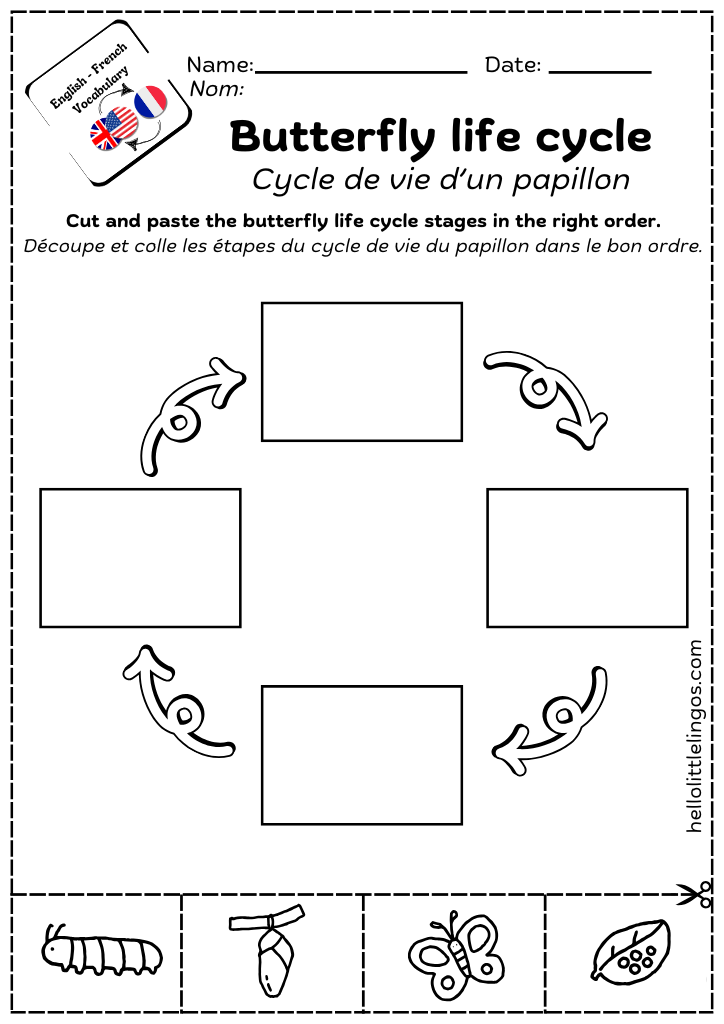 Free science worksheet butterfly life cycle
