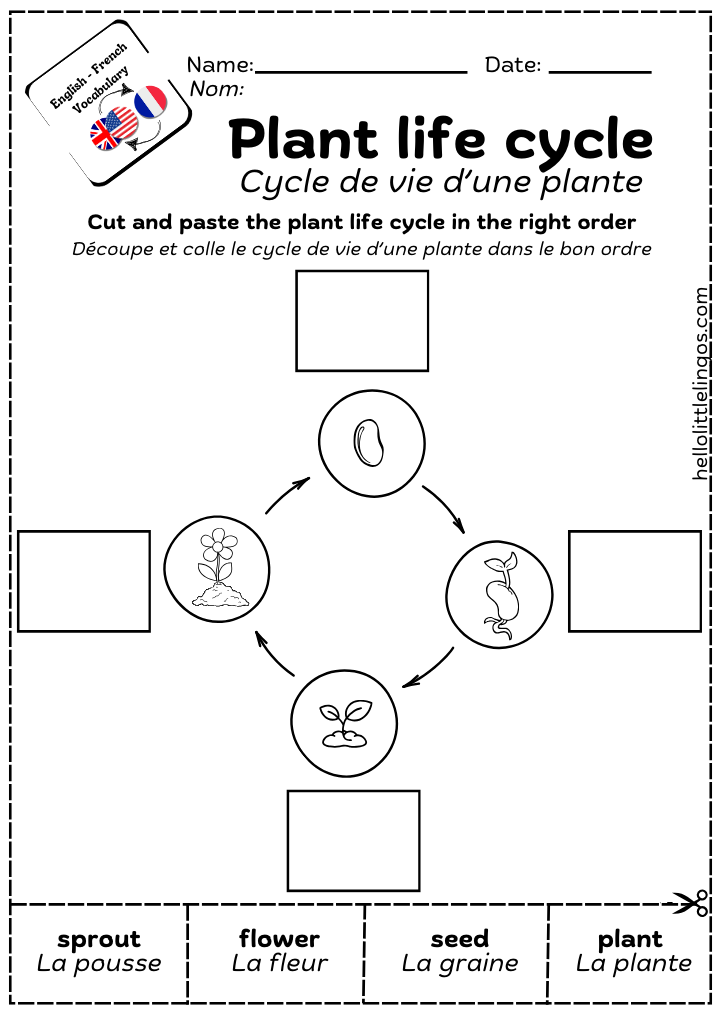 science worksheet activity for kids