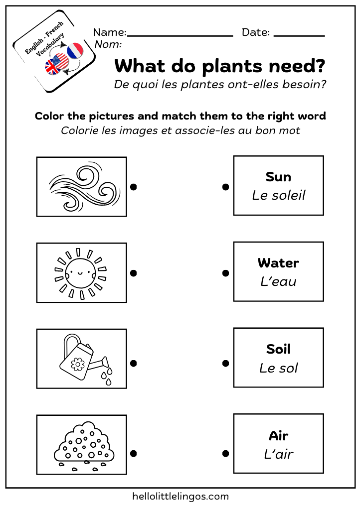 free science printable for kindergarten