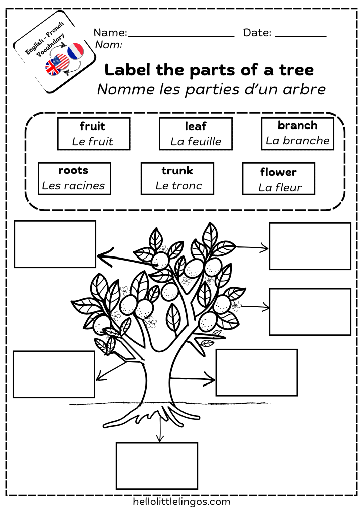 science worksheets printable for kids