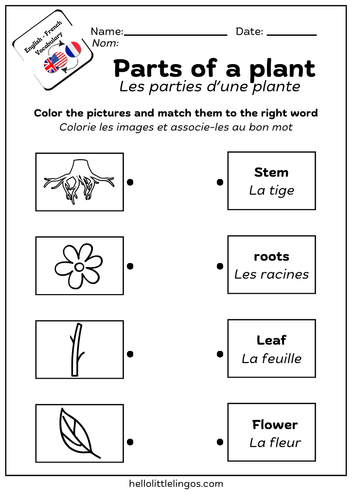 pdf free science worksheets for first grade