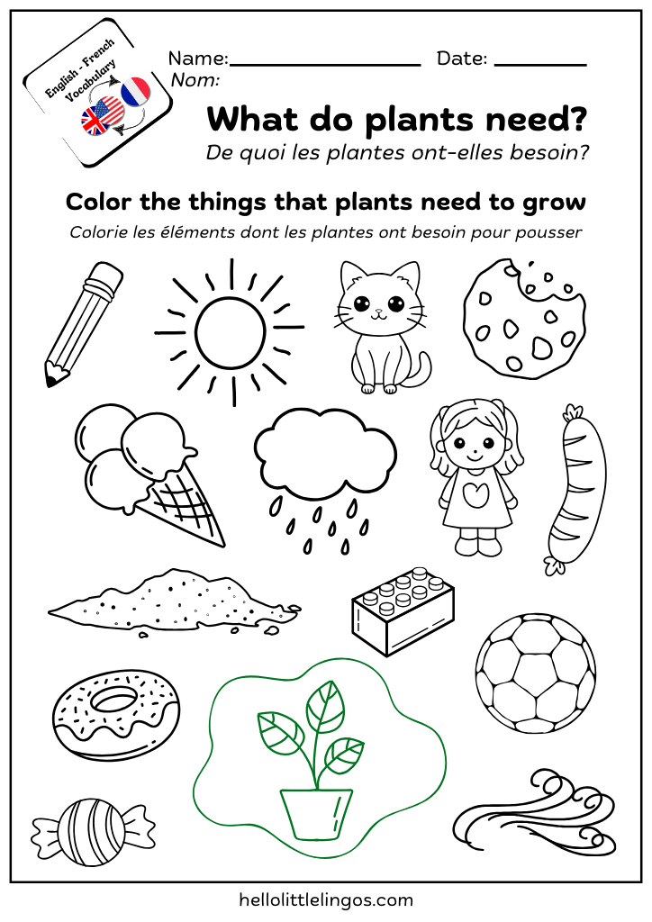 what do plants need activity for kids
