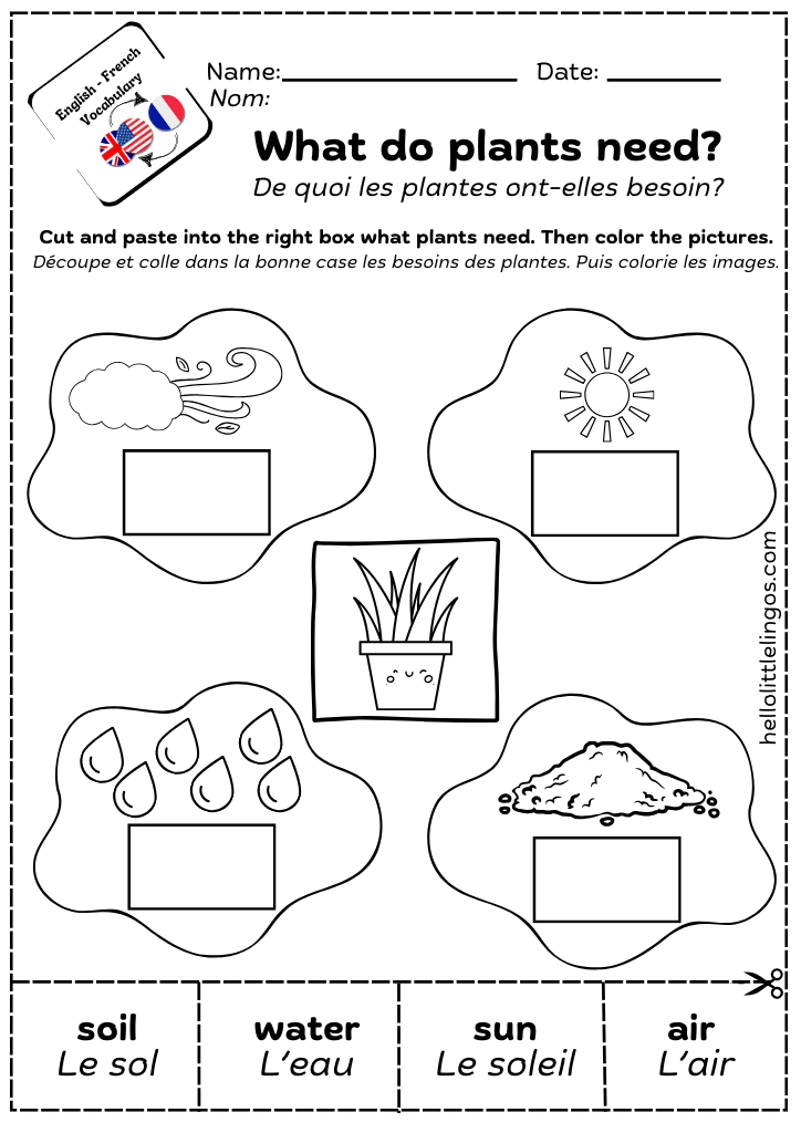 science worksheets for kids about plants
