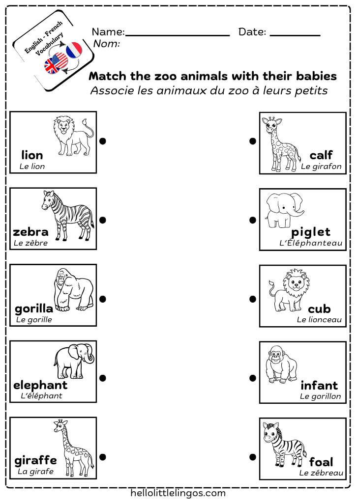 matching activity for kids animals and their babies