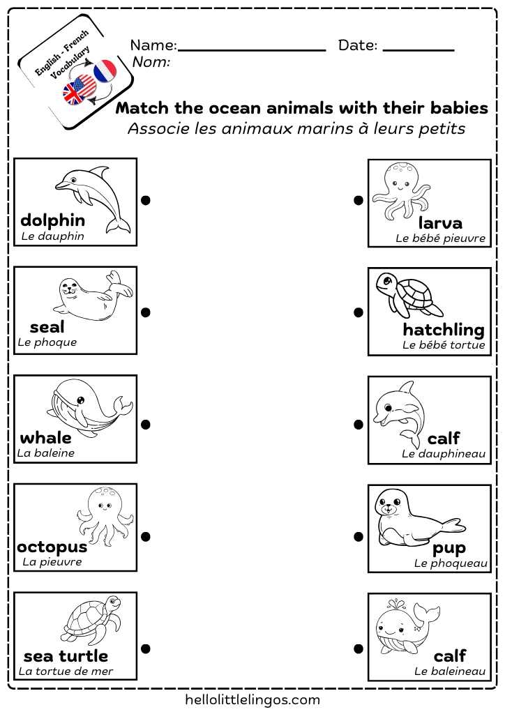 free pdf printable matching activity for kindergarten-ocean animals