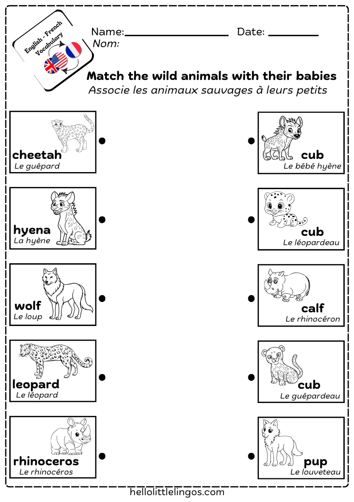 Free printable matching worksheets for kids wild animals