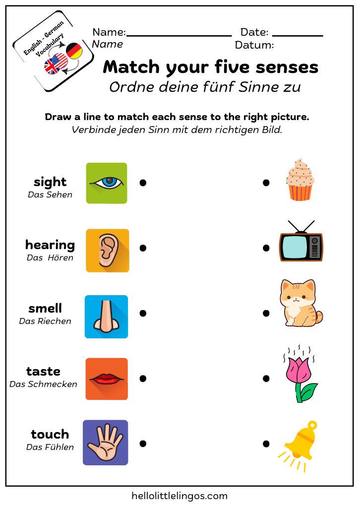 fun activity worksheets about five senses - free pdf download