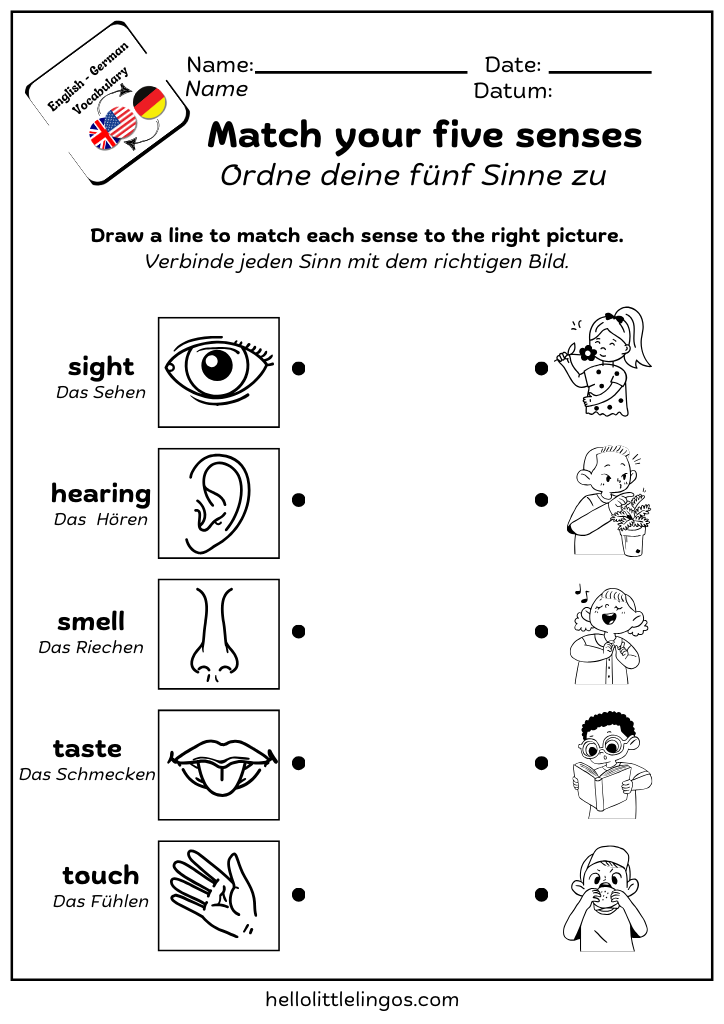science activities worksheets for kids in english and german - five senses