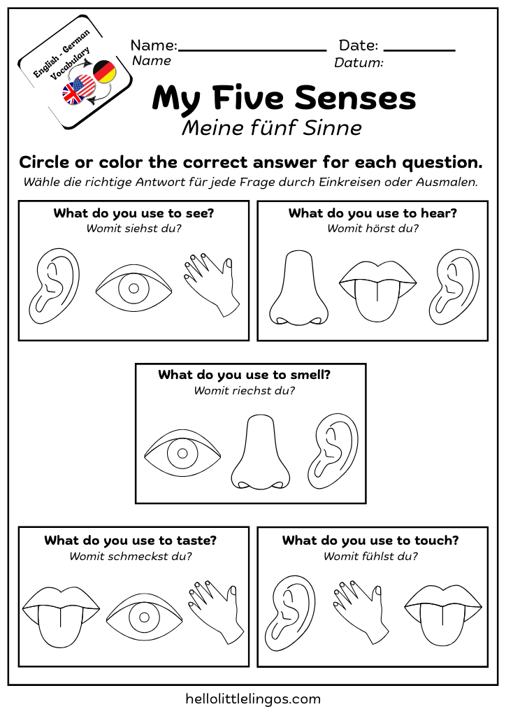 five senses activity printable worksheets for kindergarten - english and german