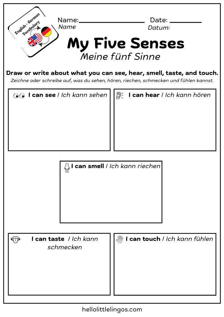 fun science activities for kids in english and german - my five senses