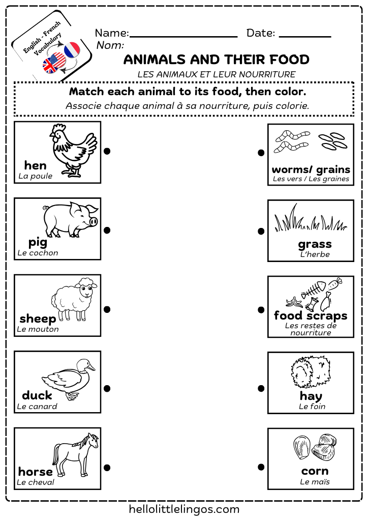free science worksheets for teachers in english and french-animals and their food