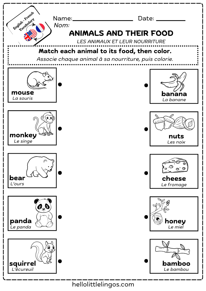 free science activities for homeschool-animals and their food