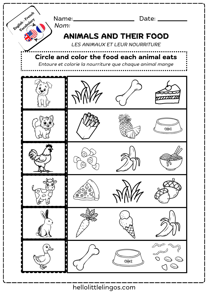 fun homeschool activities for children- animals amd their food