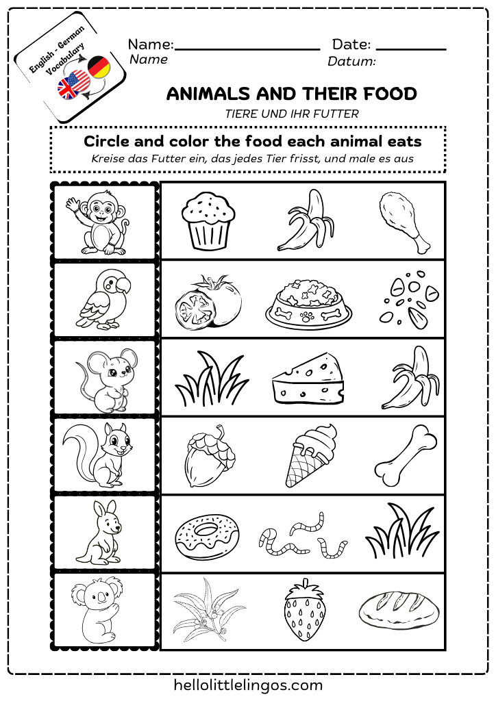science worksheets for kindergarten - animals and their food
