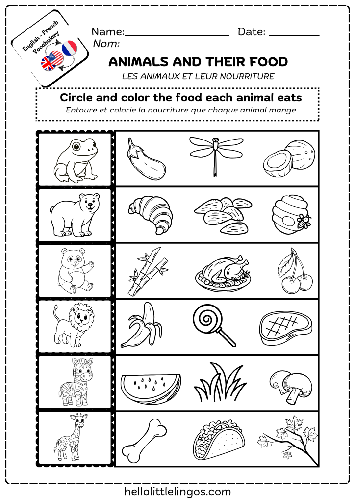 fun and easy science worksheets for kindergarten- free pdf printable
