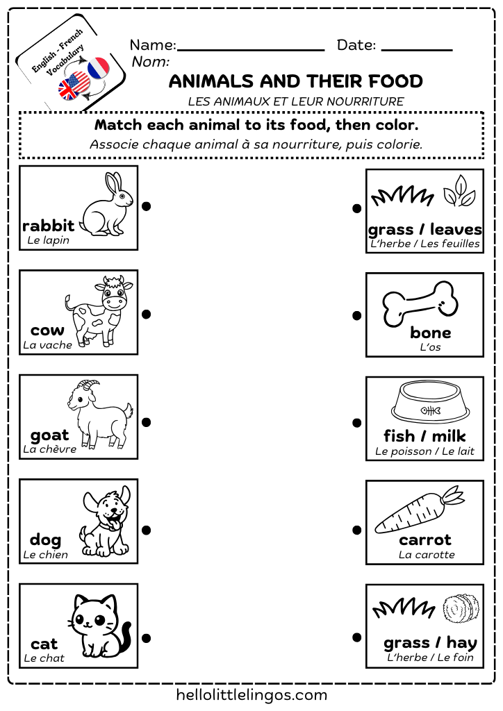 easy science activities for homeschoolers-animals and their food