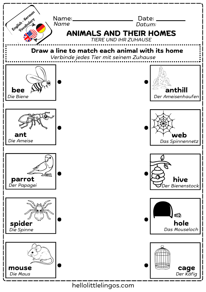 animals and their homes worksheets for kindergarten