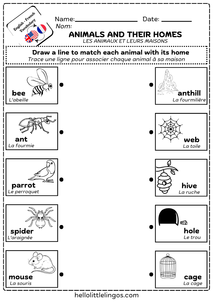 free bilingual science worksheets for early learners in english and french