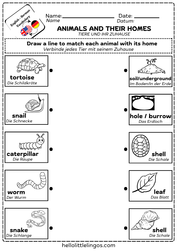 animals and their homes worksheets for kids -free download