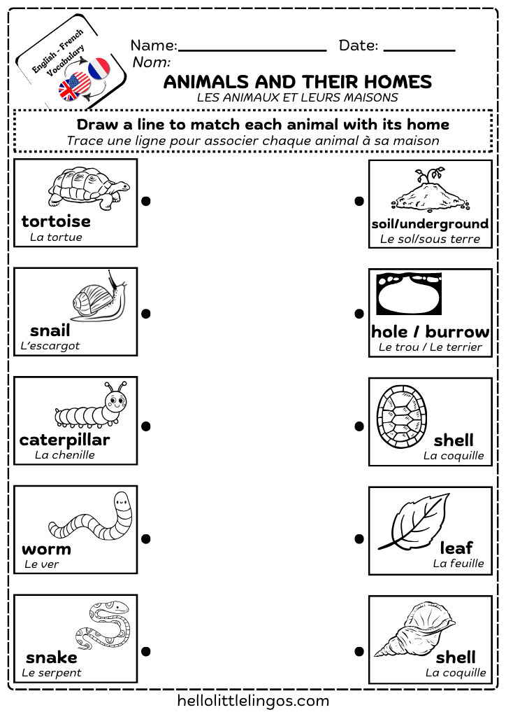 easy science worksheets for children - matching activity