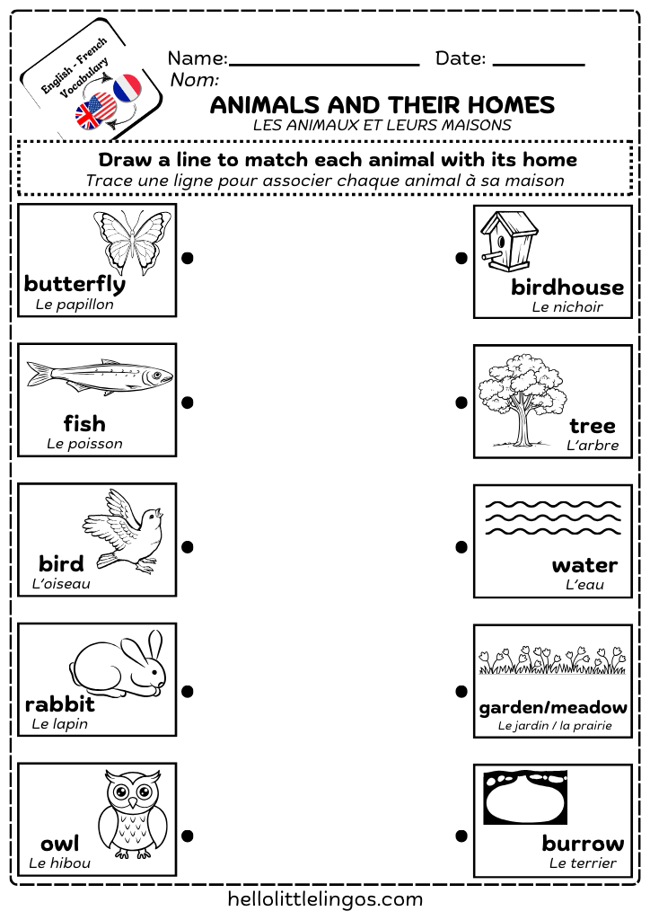 fun science worksheets for early learners - matching activity