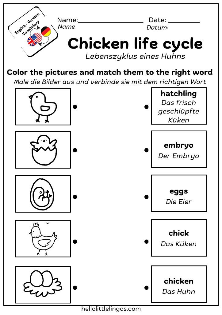 free science worksheets for bilingual kids-german and english