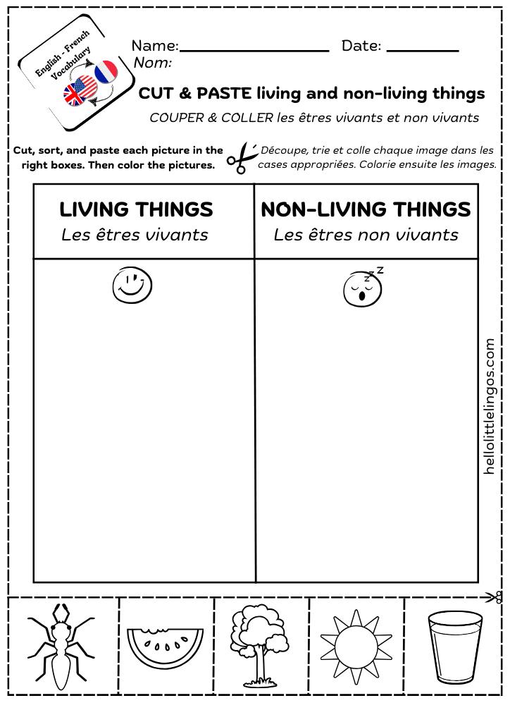 science activities for first grade - cut and paste living and non-living things