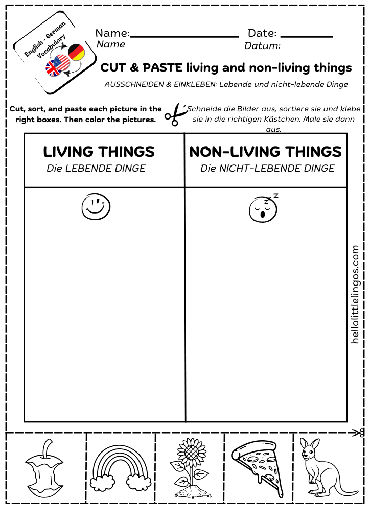 fun science activities for the classrom - german and english
