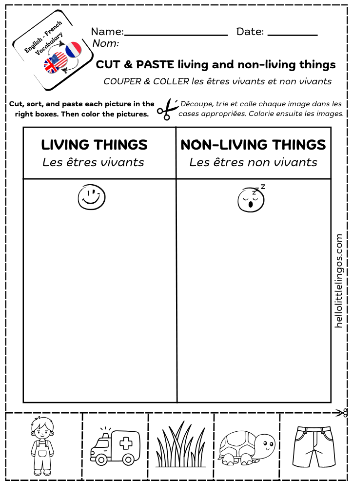 fun science activity for kindergarten- cut and paste free pdf printable