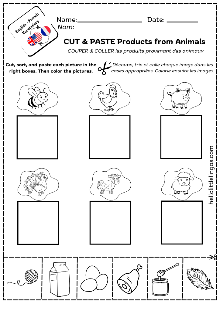easy science activities for kids- cut and paste worksheets