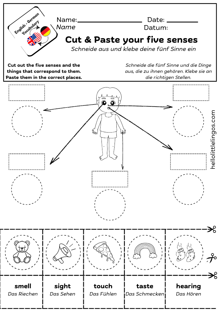 five senses activity for kids - cut and paste - free pdf in german and english