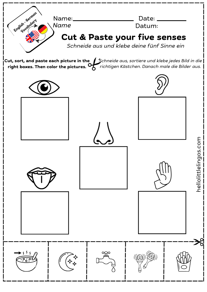 cut and paste five senses worksheets activities - free pdf download
