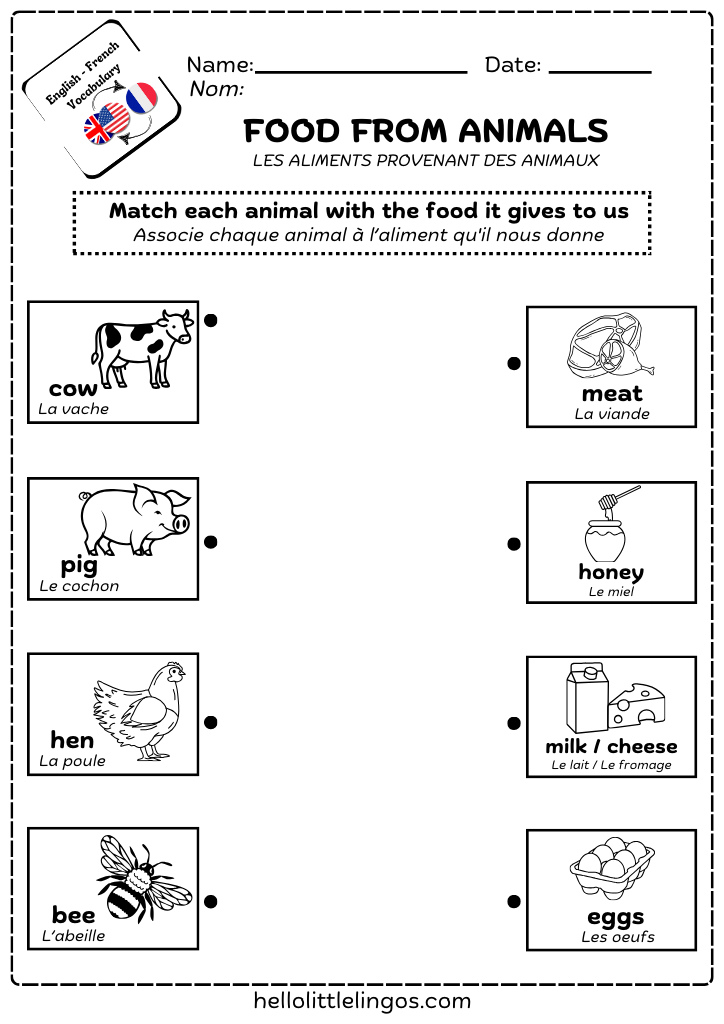 free matching worksheets for kindergarten - food from animals