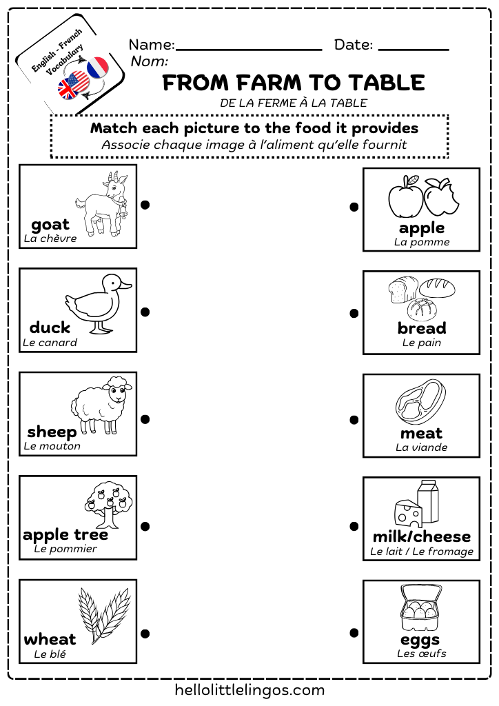 matching activities printable for primary school - from farm to table