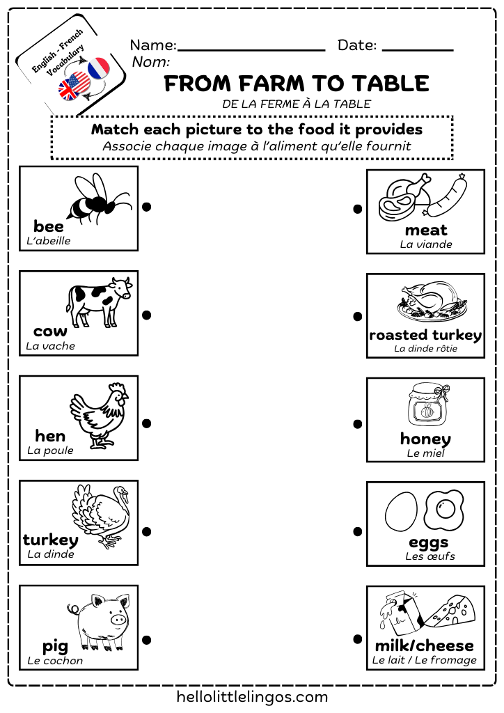 matching game worksheets for kids - from farm to table