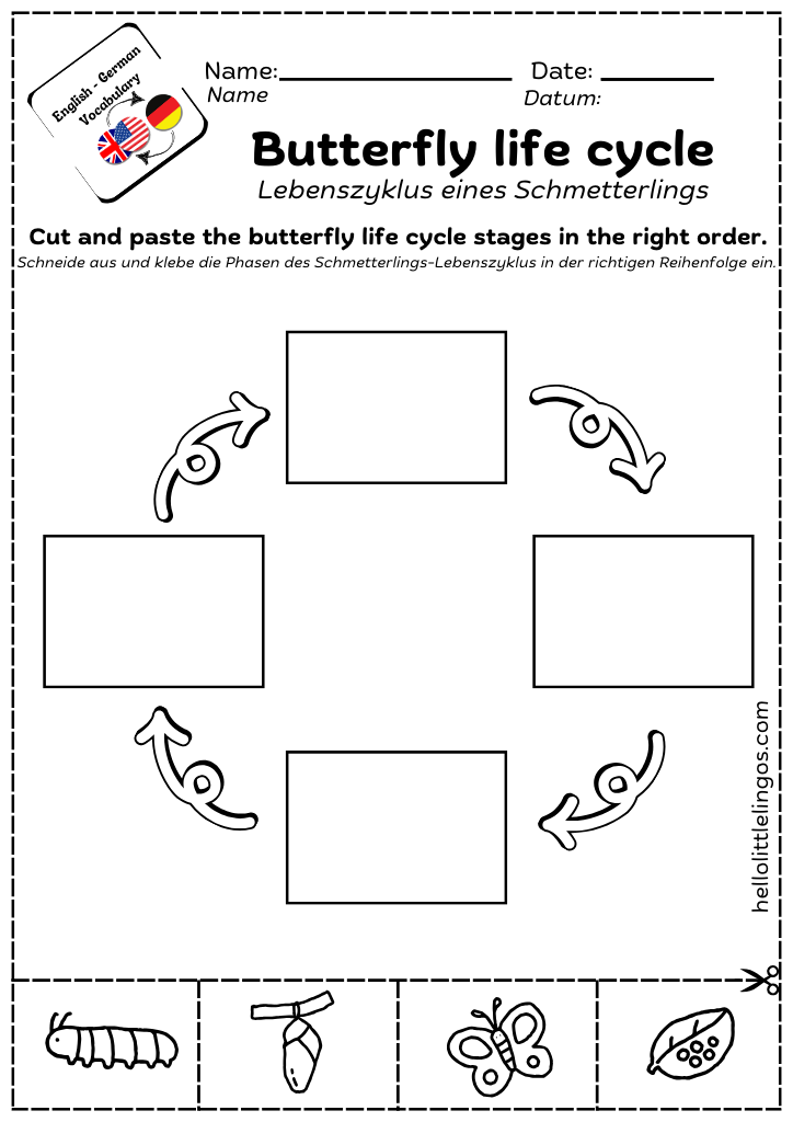 cut and paste science worksheets activities for kids