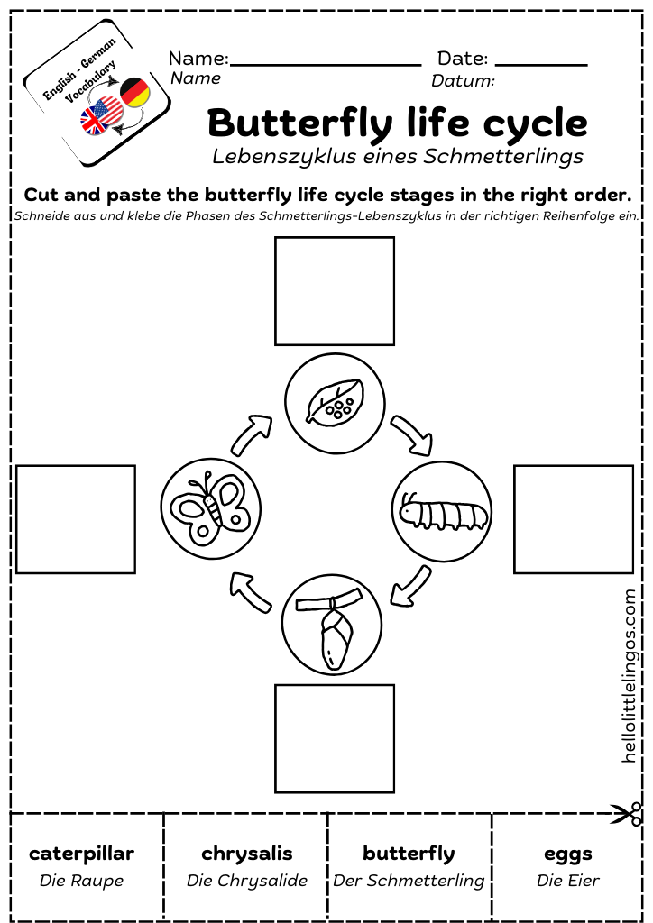 free science worksheets for grade 1 animals