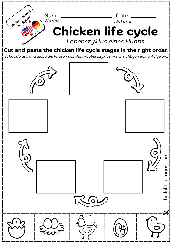 science worksheets for grade 1