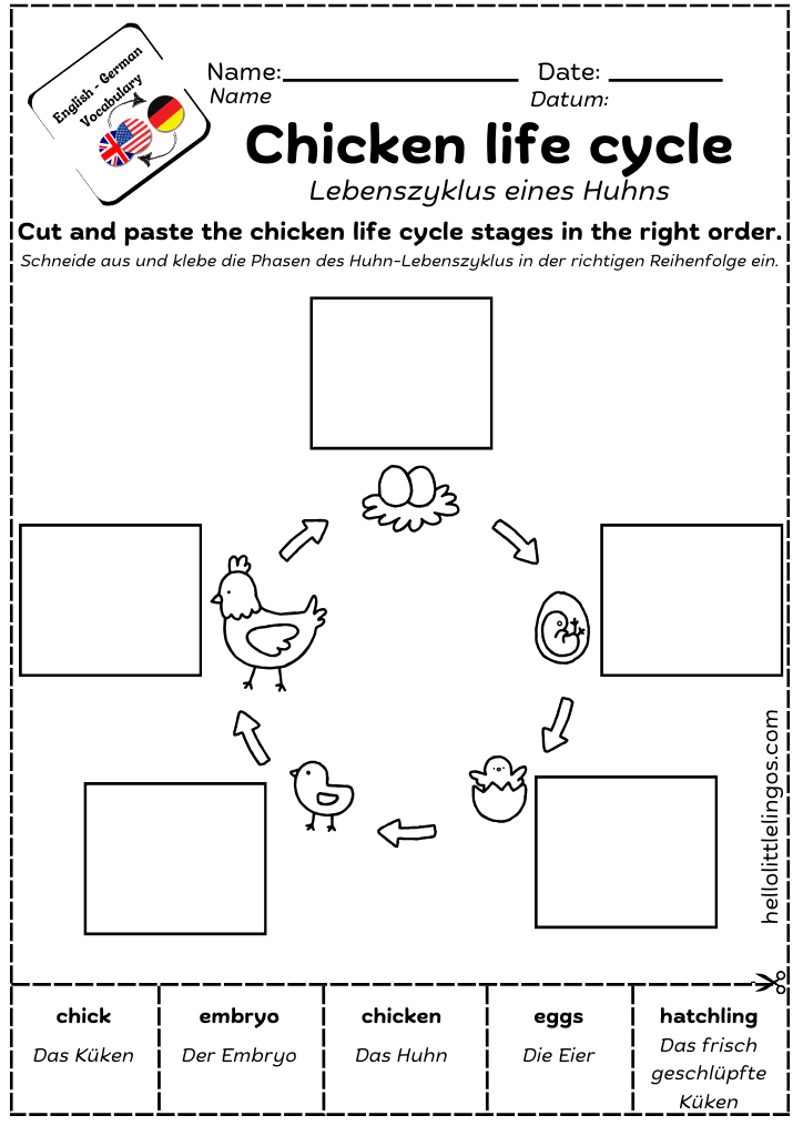 science worksheets for first grade animals